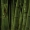 bind_25.jpg