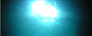 P1010042.JPG